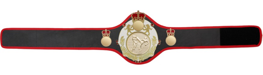 QUEENSBURY PRO LEATHER KICKBOXING CHAMPIONSHIP BELT - QUEEN/W/G/KBOG - 10+ COLOURS QUEENSBURY PRO LEATHER KICKBOXING CHAMPIONSHIP BELT - QUEEN/W/G/KBOG - 10+ COLOURS